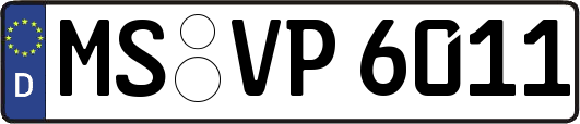 MS-VP6011