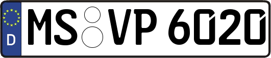 MS-VP6020