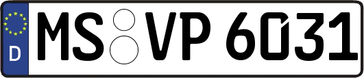 MS-VP6031
