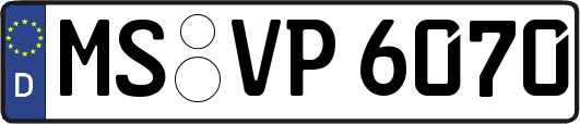 MS-VP6070
