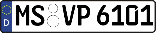 MS-VP6101