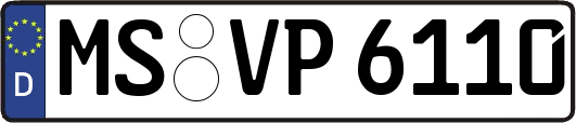 MS-VP6110