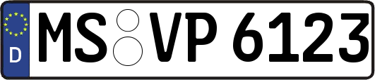MS-VP6123