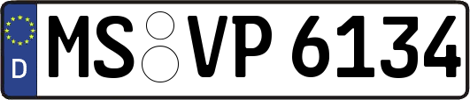 MS-VP6134