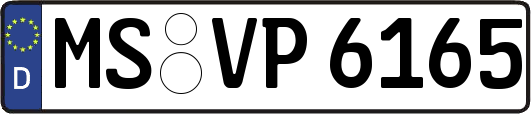 MS-VP6165