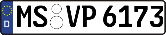 MS-VP6173