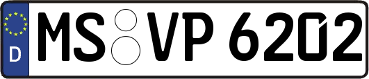 MS-VP6202