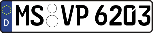 MS-VP6203