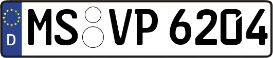 MS-VP6204