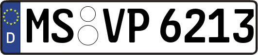 MS-VP6213