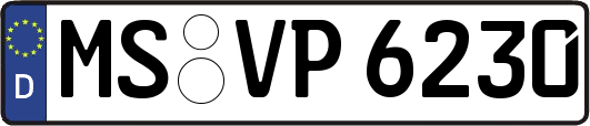 MS-VP6230