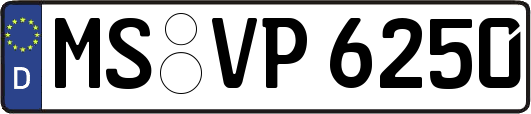 MS-VP6250