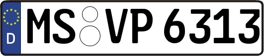 MS-VP6313