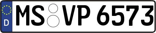 MS-VP6573