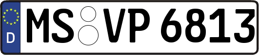MS-VP6813