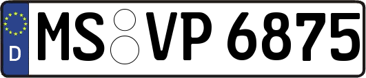 MS-VP6875