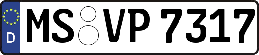 MS-VP7317