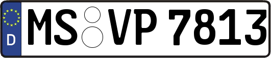 MS-VP7813