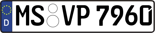 MS-VP7960