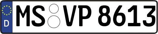 MS-VP8613