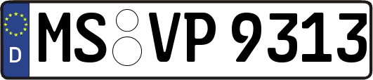 MS-VP9313
