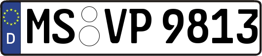 MS-VP9813
