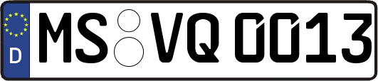 MS-VQ0013