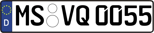 MS-VQ0055
