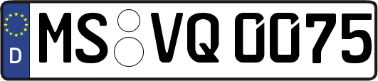 MS-VQ0075