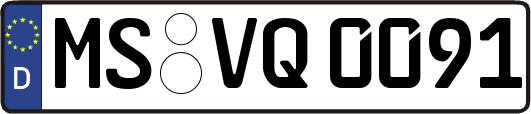 MS-VQ0091