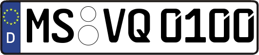 MS-VQ0100