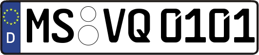 MS-VQ0101
