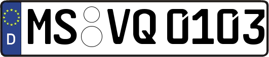 MS-VQ0103