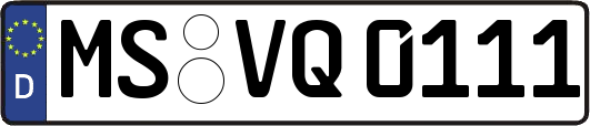 MS-VQ0111