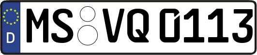 MS-VQ0113