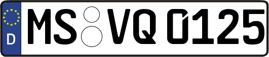 MS-VQ0125