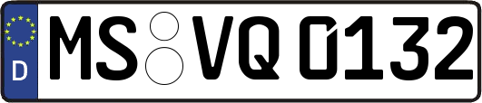 MS-VQ0132