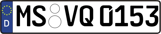 MS-VQ0153