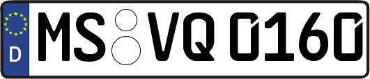 MS-VQ0160