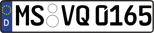 MS-VQ0165