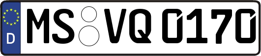 MS-VQ0170