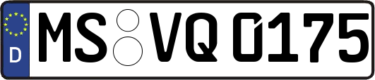 MS-VQ0175