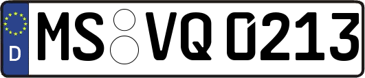 MS-VQ0213