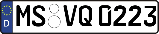MS-VQ0223