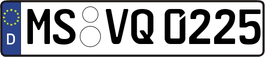 MS-VQ0225