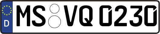 MS-VQ0230