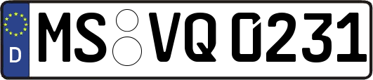 MS-VQ0231