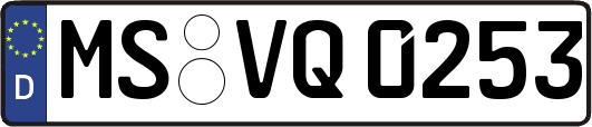 MS-VQ0253