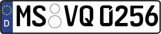 MS-VQ0256