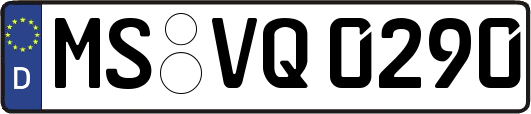 MS-VQ0290